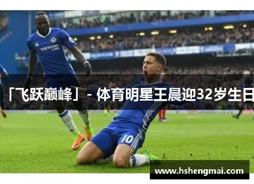 「飞跃巅峰」- 体育明星王晨迎32岁生日。